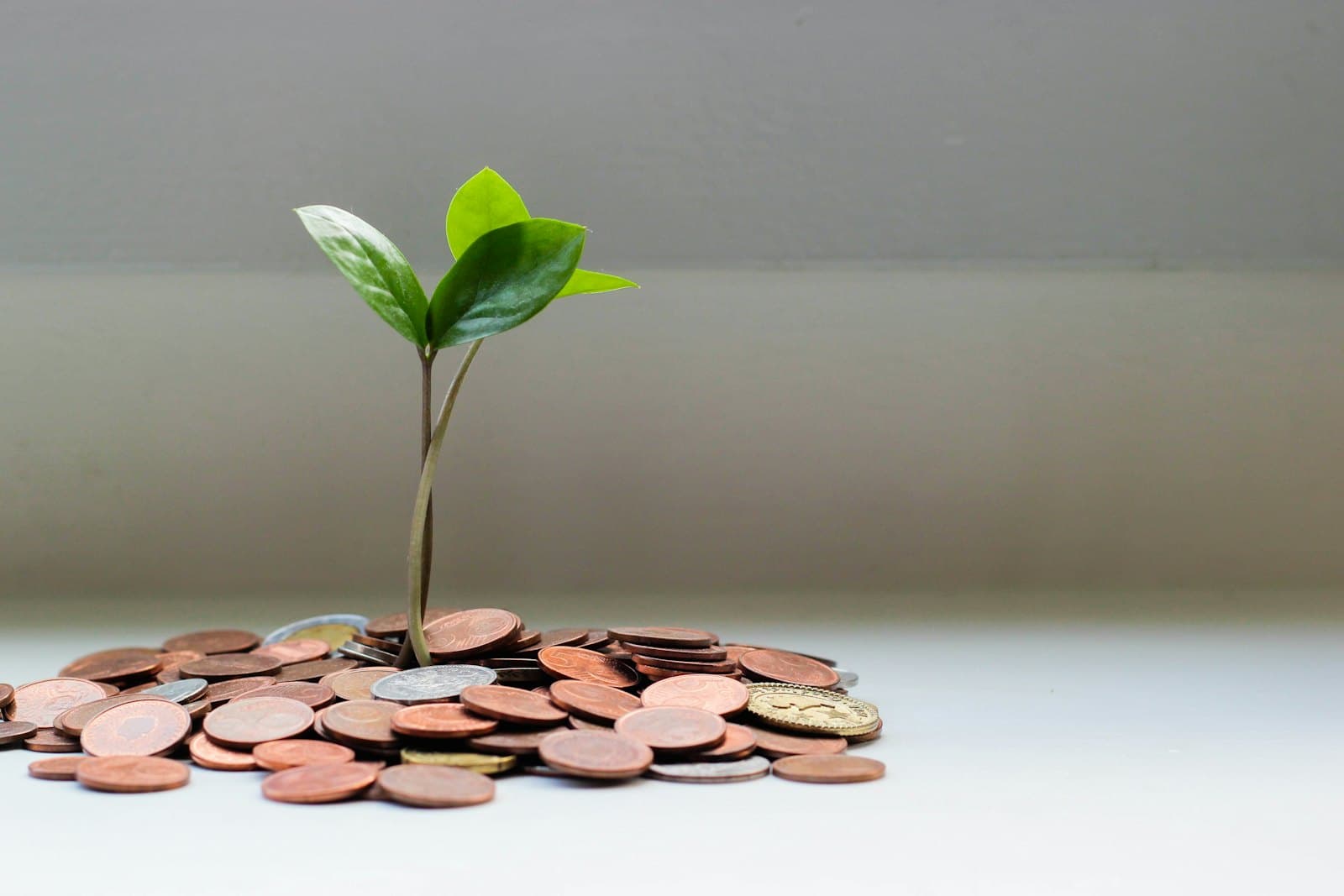 An upward financial growth graph on a screen